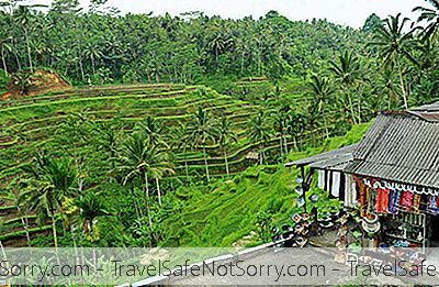 Reisterrassen Von Tegallalang: Eine Komplette Reiseleitung Für Balis Herrliche Reisterrassen!