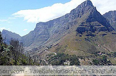 La Faune À Cape Town: 8 Meilleurs Endroits À Visiter Pour Avoir La Vue De La Faune De La Ville
