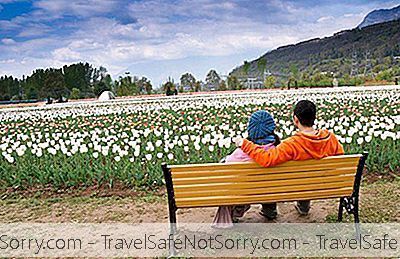 Tulip Garden Srinagar: Tot Ce Trebuie Să Știți Despre Acest Paradis De Culori