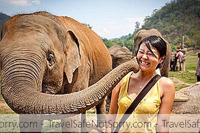 Elephant Nature Park: Forkæl Dig I En Spændende Dyrelivserfaring I Denne Thailandske Charme!